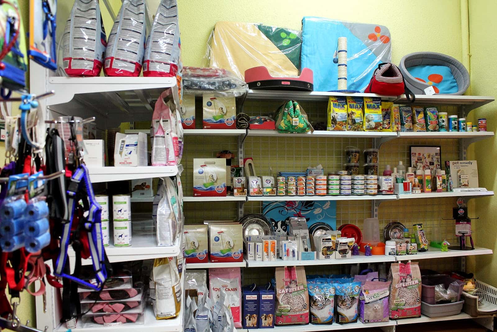 Ancora Veterinarios