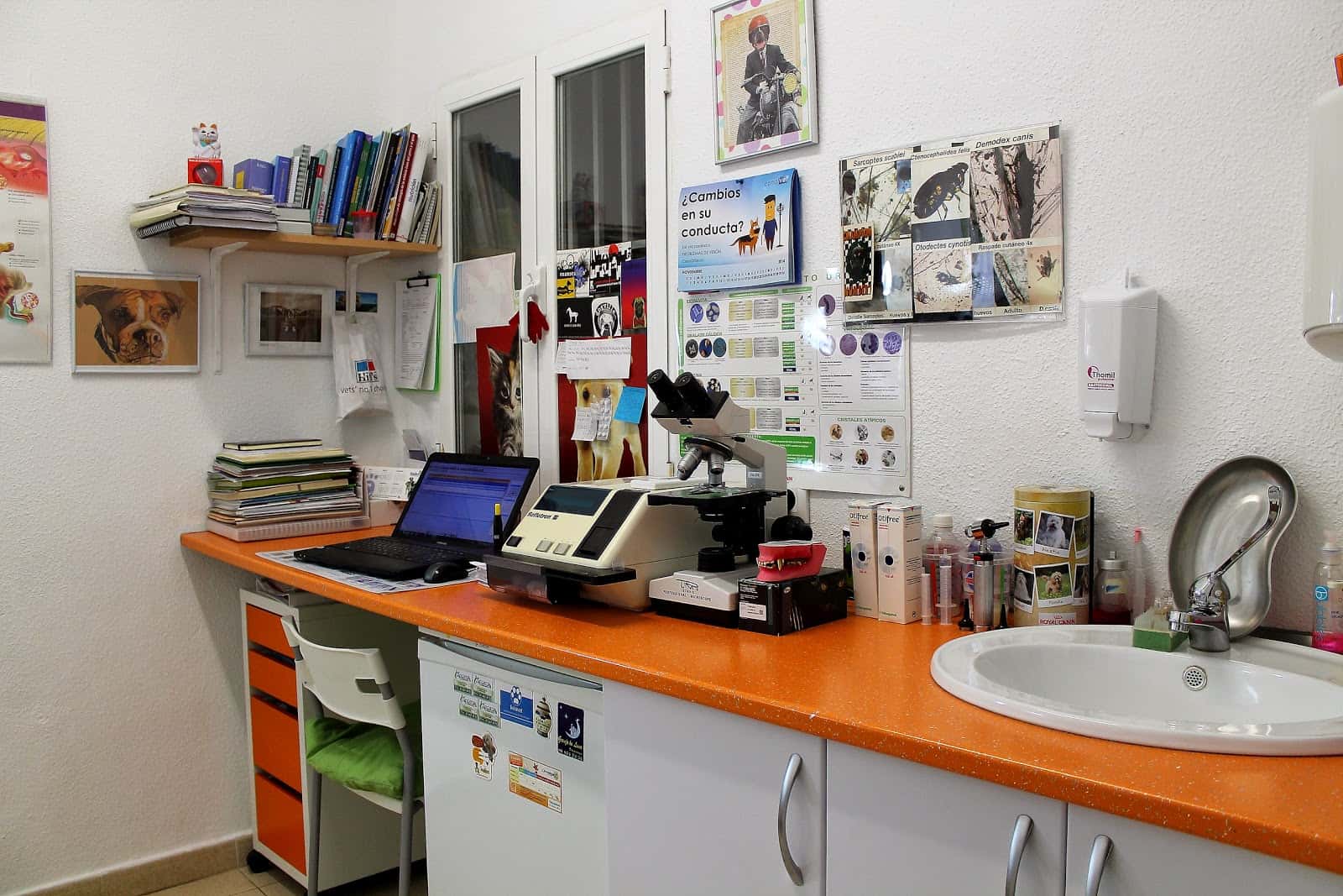 ancora veterinarios veterinario centro cerca de madrid principalImage ADOPTA Sitios Pet Friendly