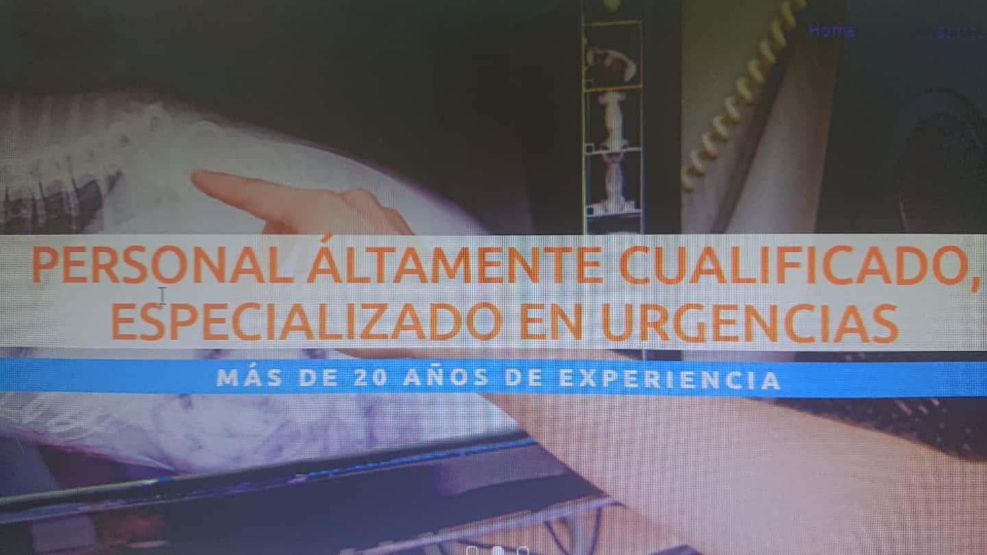urgencias veterinarias reina cristina veterinario centro cerca de madrid principalImage ADOPTA Sitios Pet Friendly