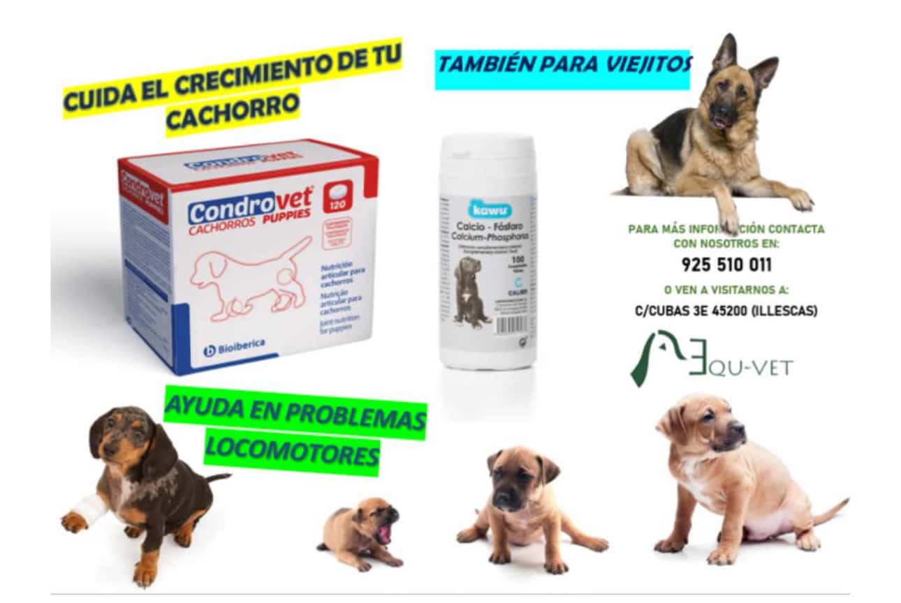 equ vet veterinario centro en illescas en toledo principalImage ADOPTA Sitios Pet Friendly