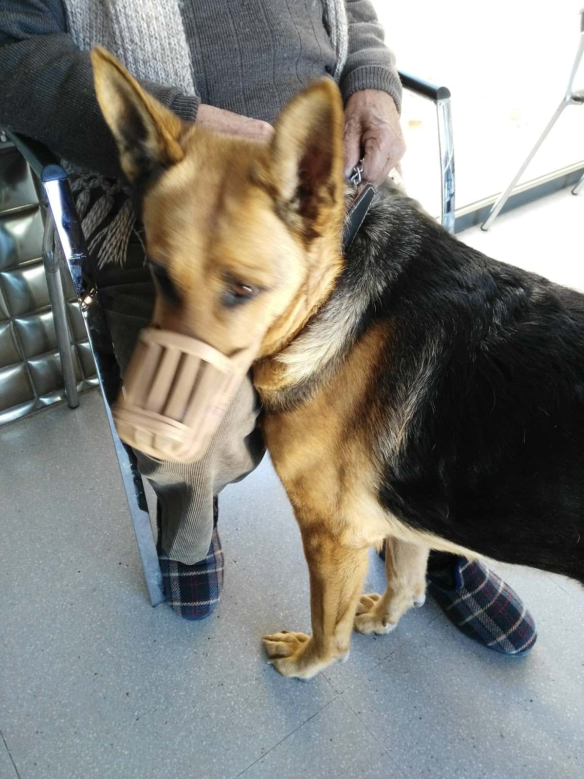 Centro Veterinario Carranque