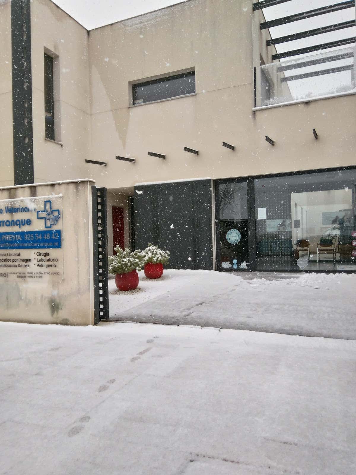 Centro Veterinario Carranque