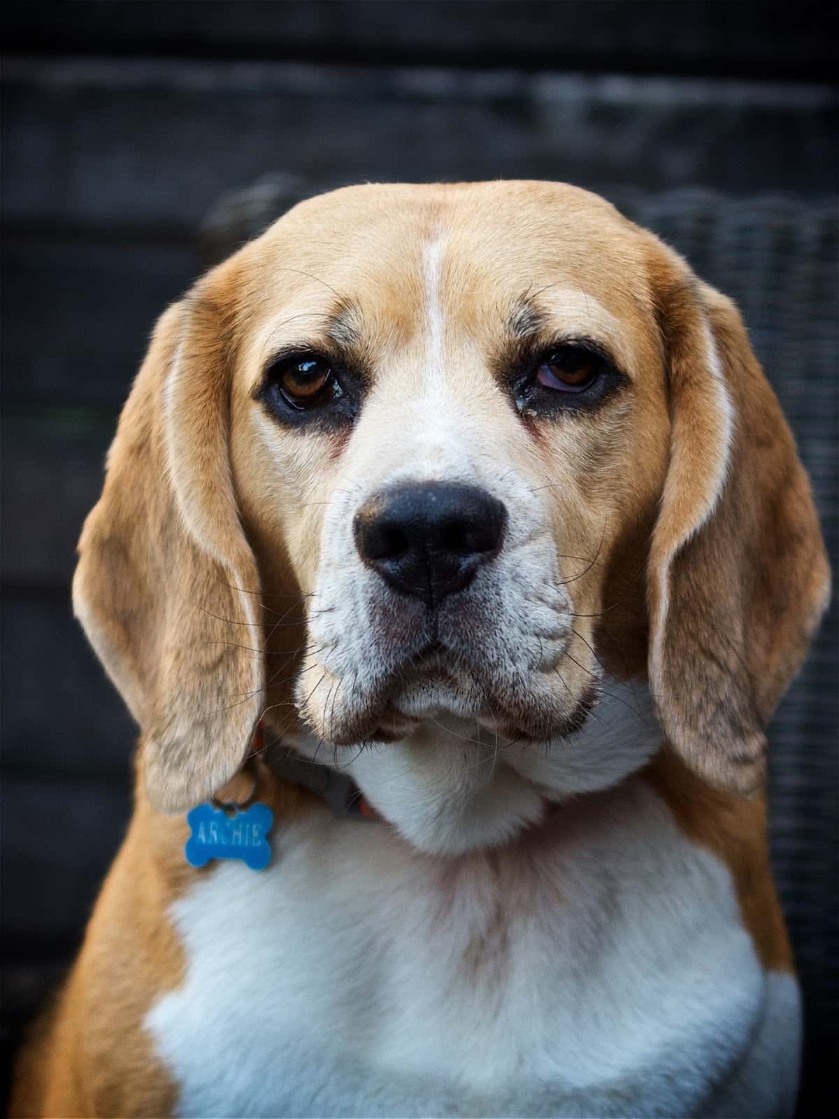 Centro Veterinario Dr. Deza