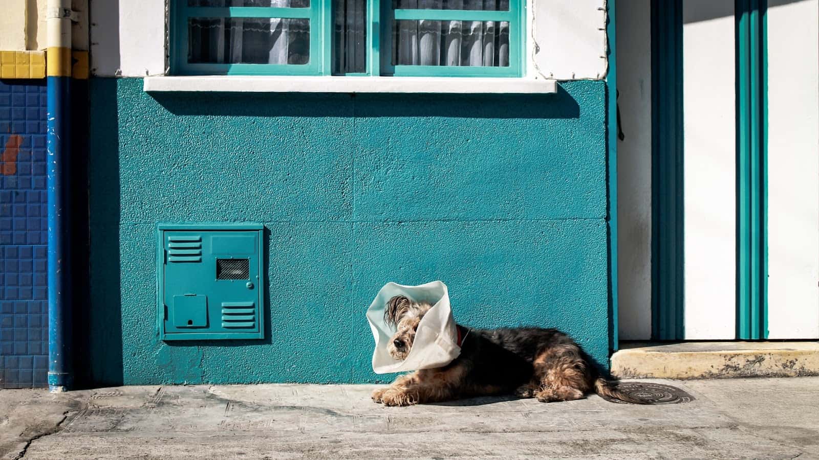 Centro Veterinario Dr. Deza