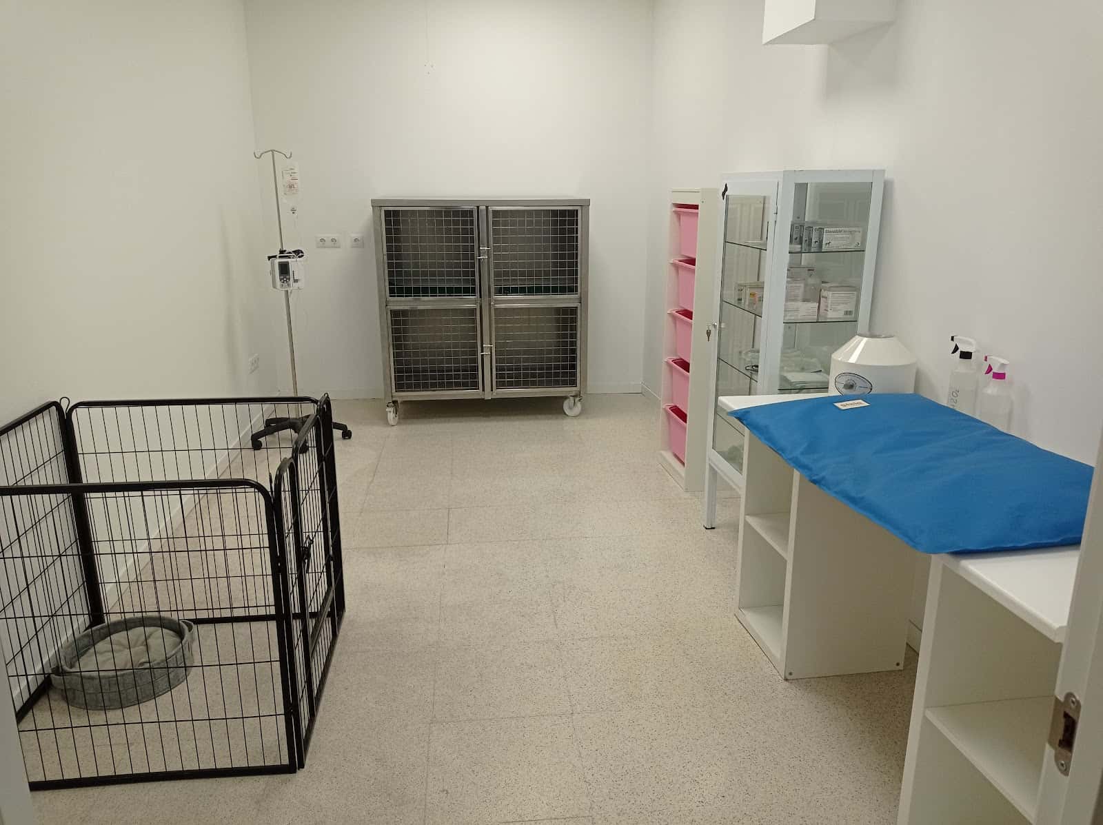 centro veterinario huellitas veterinario centro en yeles en toledo principalImage ADOPTA Sitios Pet Friendly