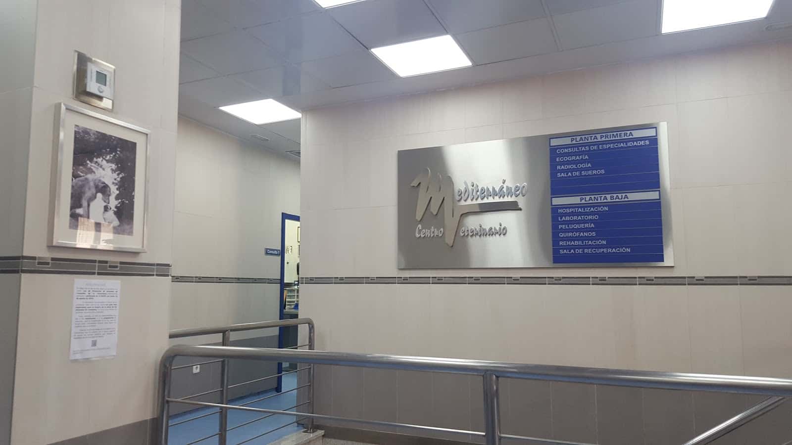 Hospital Veterinario Mediterráneo
