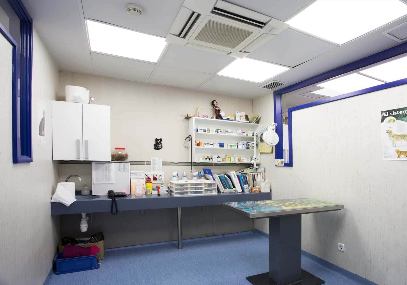 Hospital Veterinario Mediterráneo