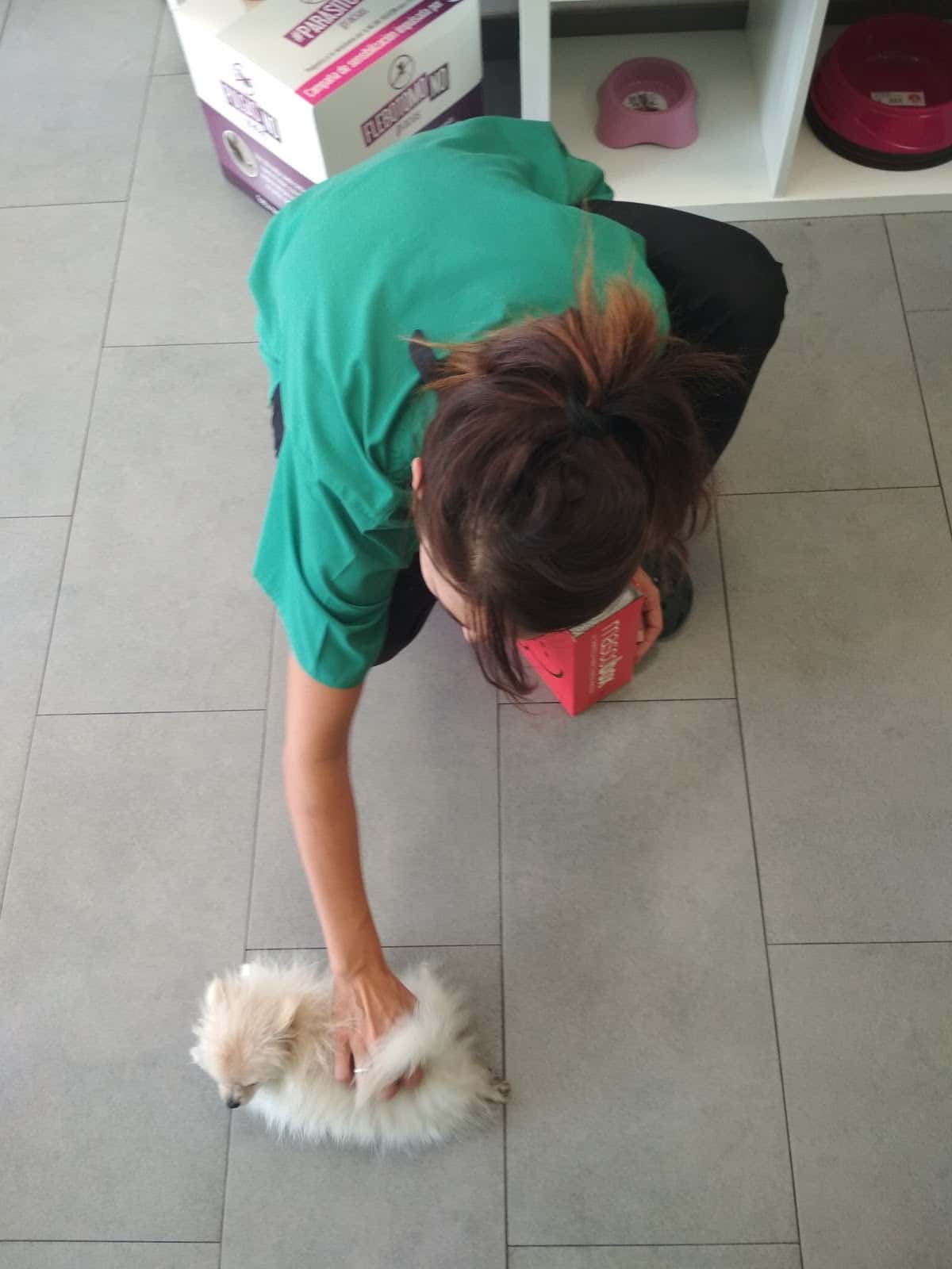 Clinica Veterinaria MadridRio