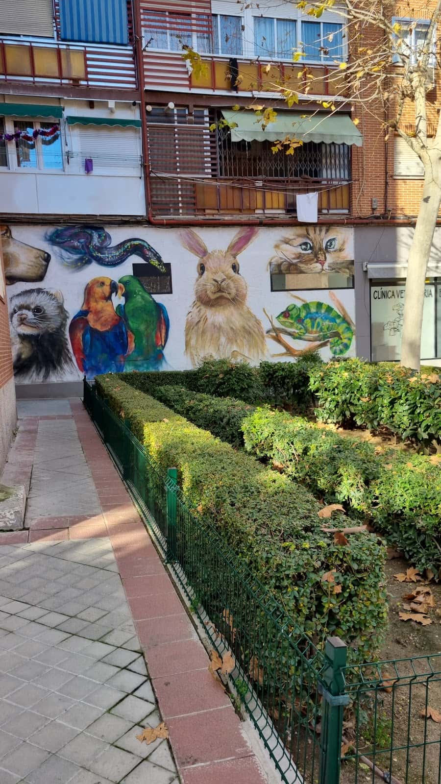 Clínica Veterinaria Exóticos