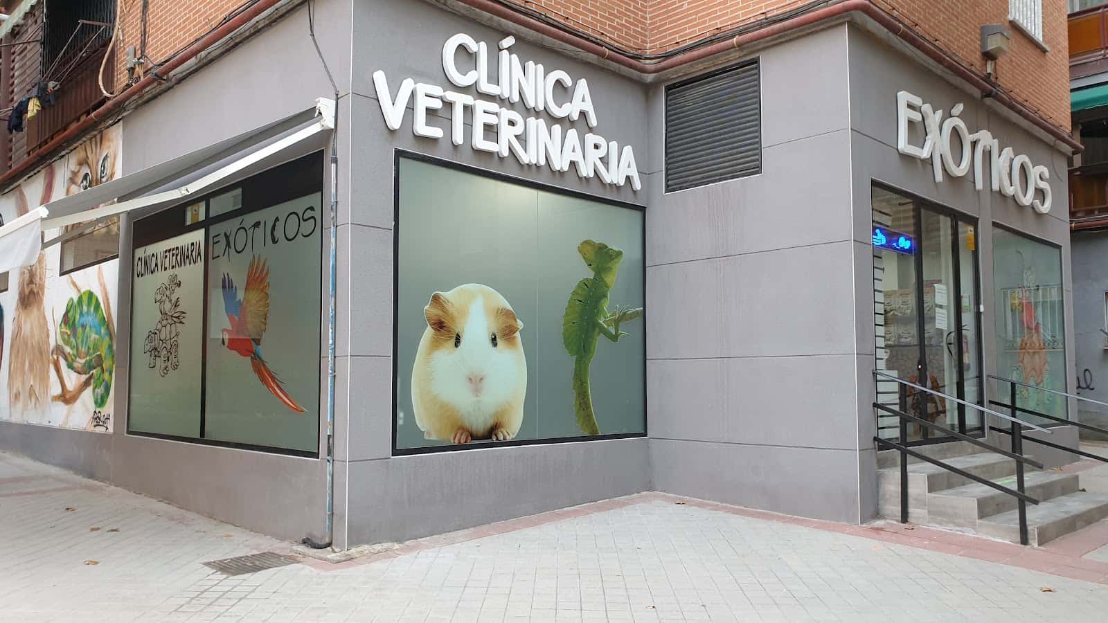 clinica veterinaria exoticos veterinario clinica en fuenlabrada en madrid principalImage ADOPTA Sitios Pet Friendly