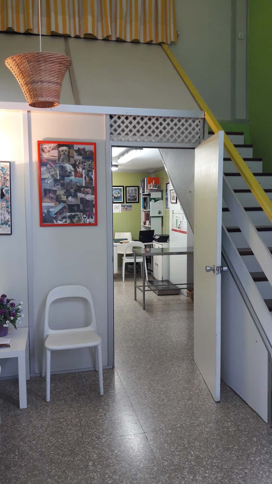 Clínica Veterinaria Tucán (CITA PREVIA )