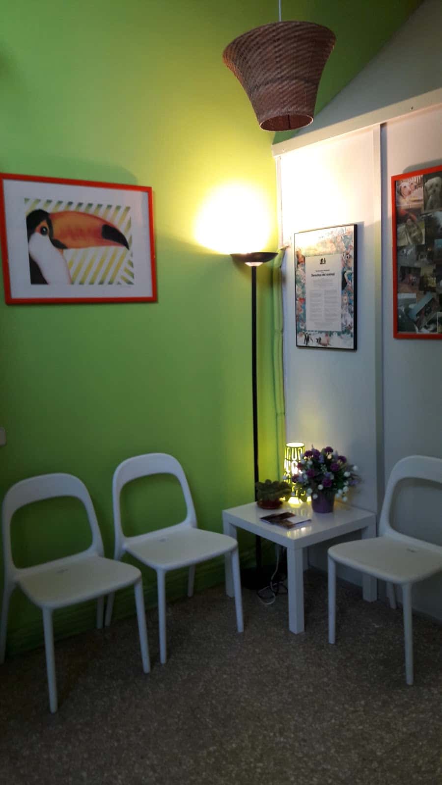 Clínica Veterinaria Tucán (CITA PREVIA )