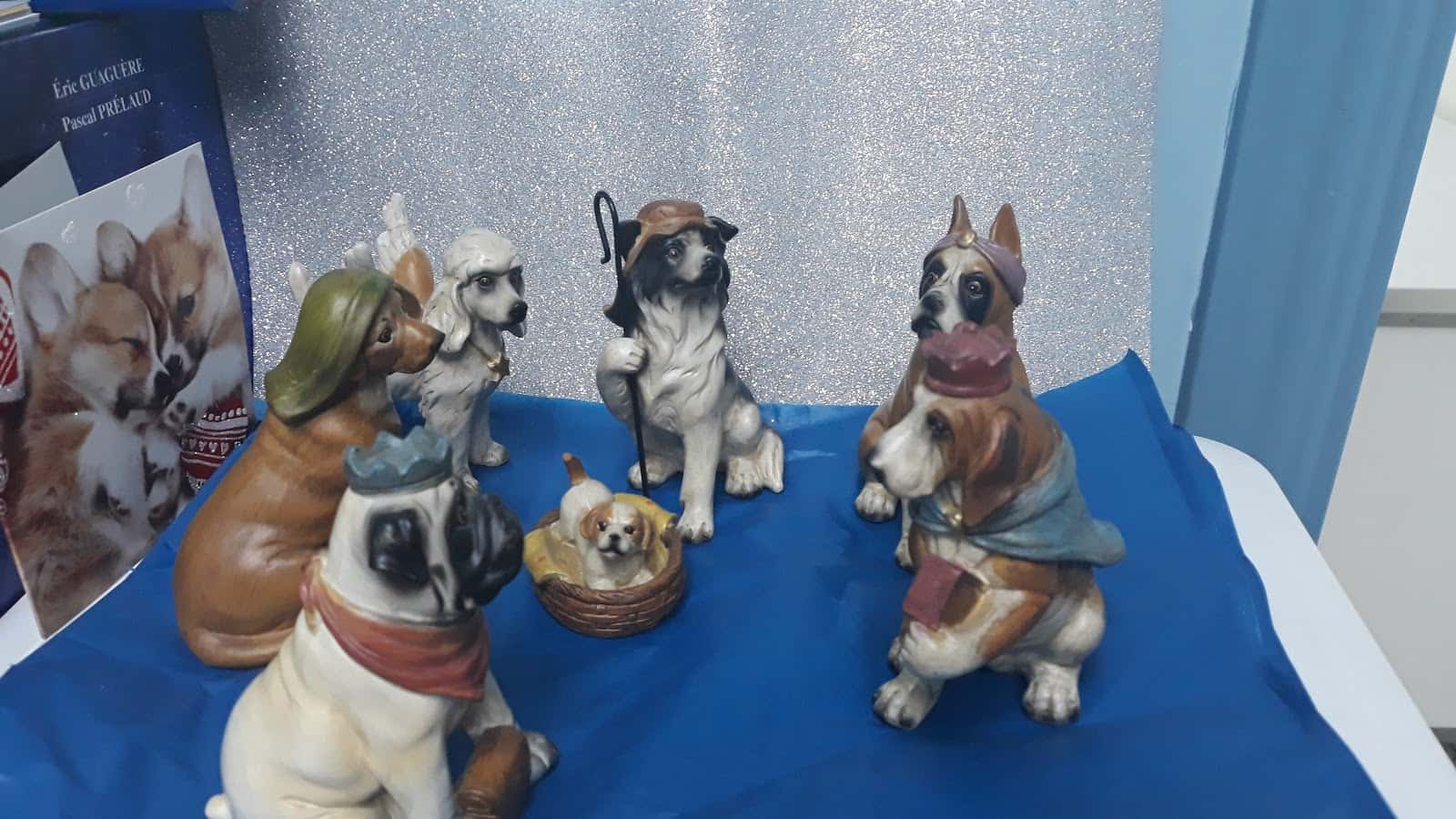 Clinica Veterinaria Principe Pio - Elena Ruano Fernandez