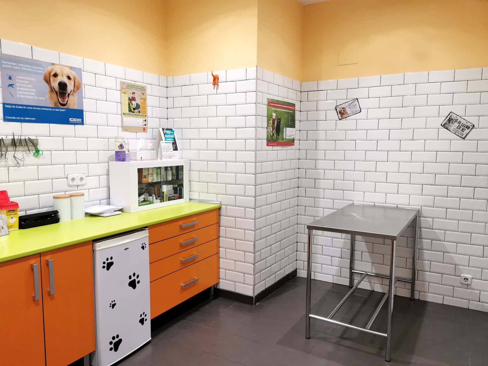 Centro Veterinario Animal Kingdom