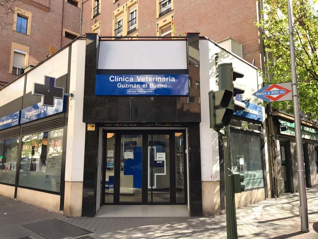 clinica veterinaria guzman el bueno  grupo penagrande veterinario clinica cerca de madrid principalImage ADOPTA Sitios Pet Friendly