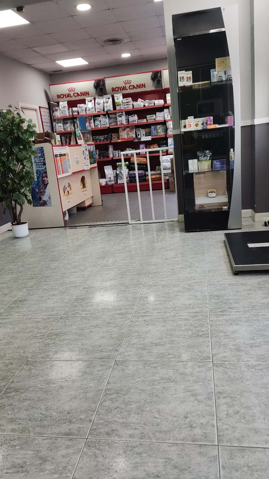 clinica veterinaria panda veterinario clinica en fuenlabrada en madrid principalImage ADOPTA Sitios Pet Friendly