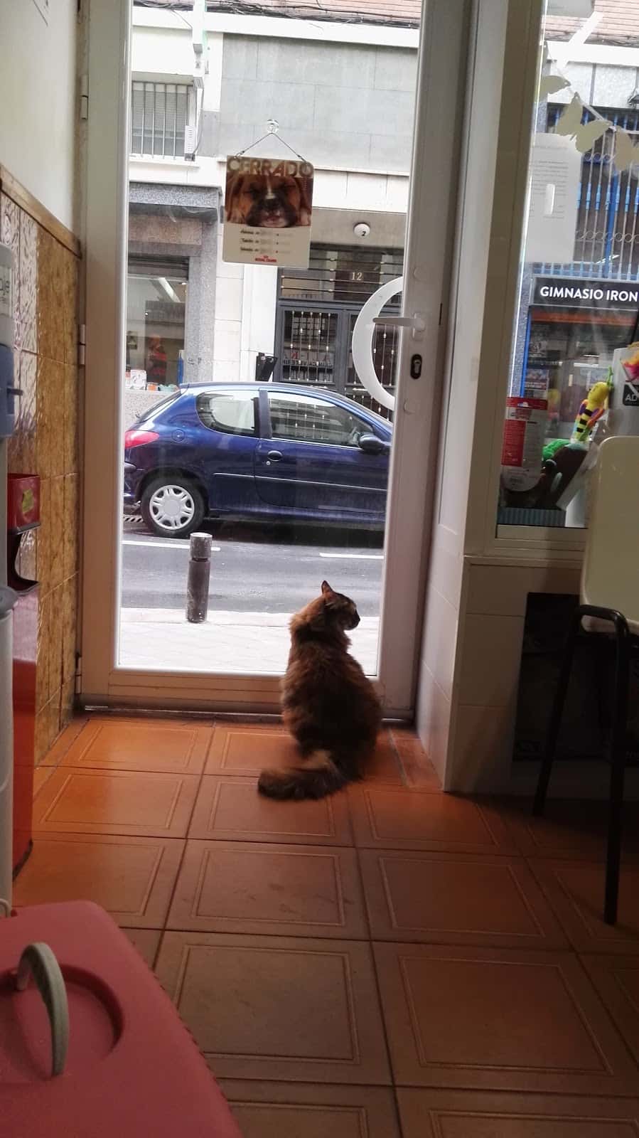alikan veterinario centro cerca de madrid principalImage ADOPTA Sitios Pet Friendly