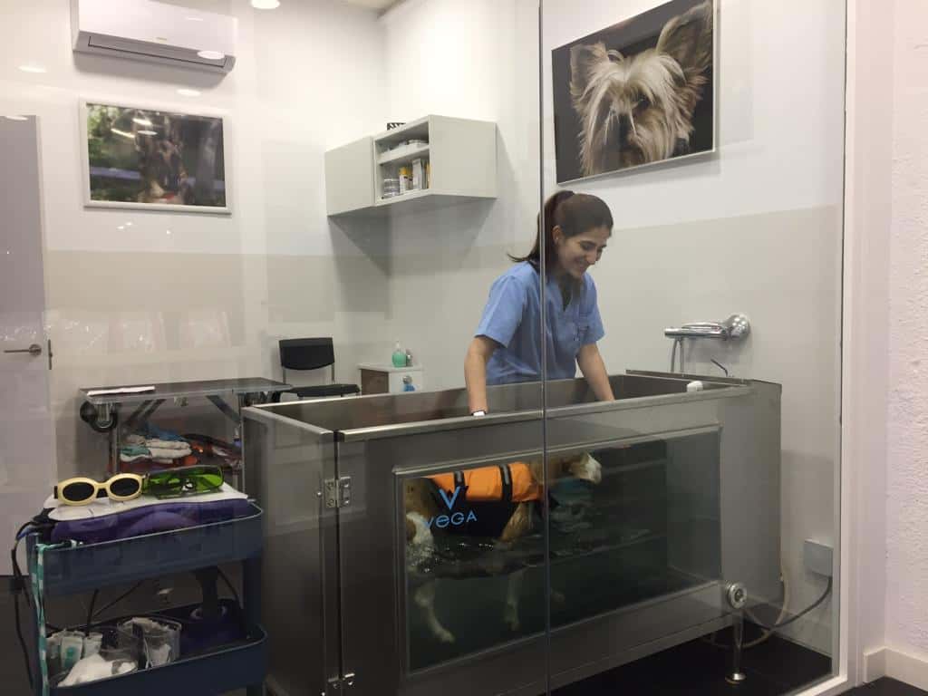 Clínica Veterinaria Padilla