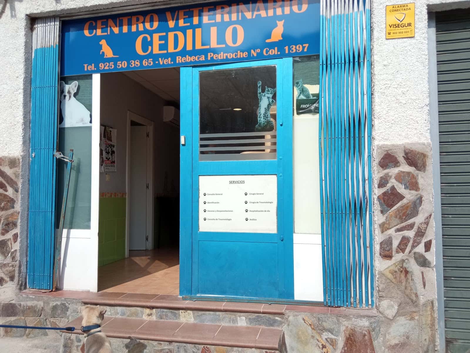 Centro Veterinario Cedillo
