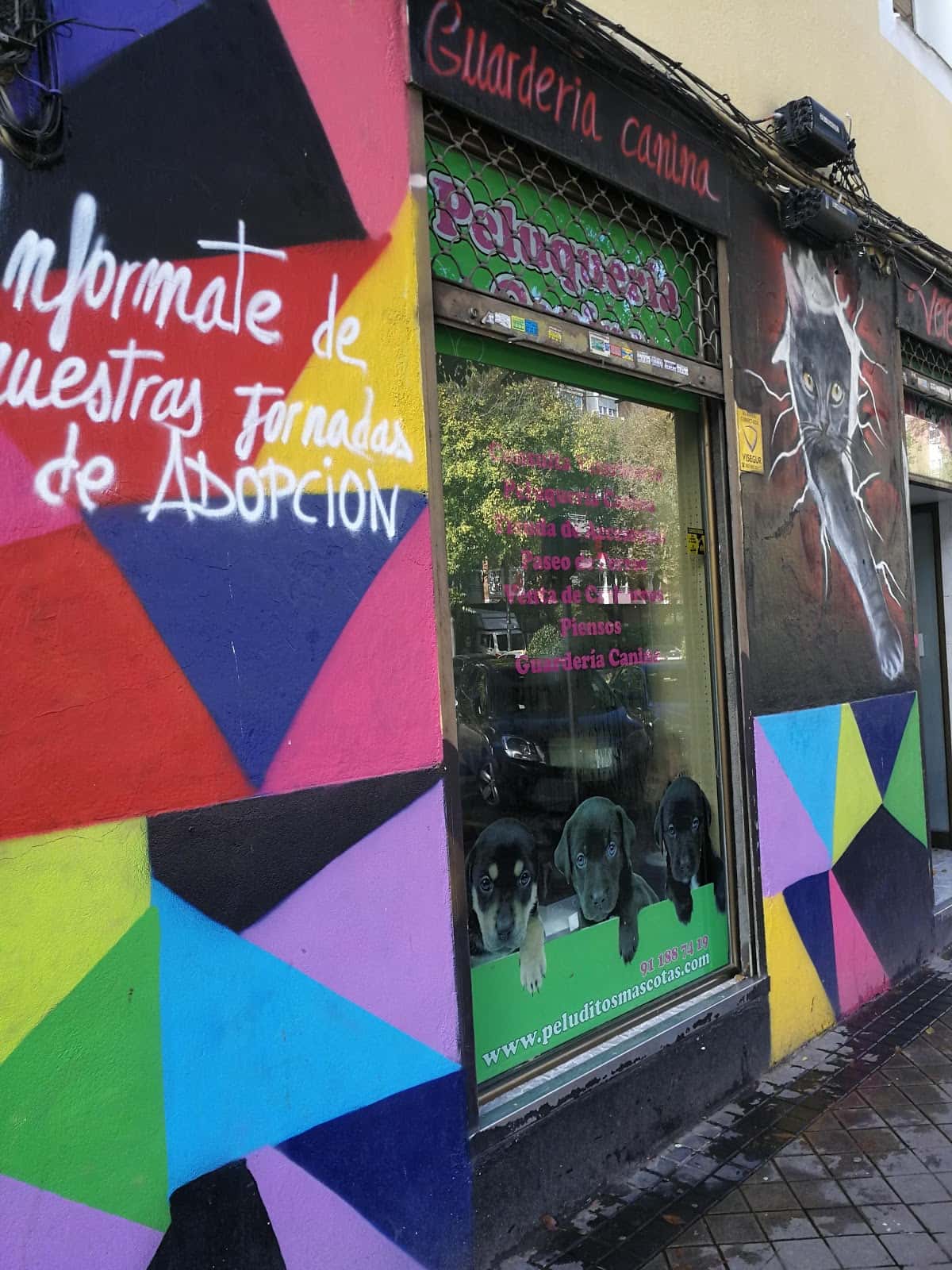 Peluditos Centro Veterinario