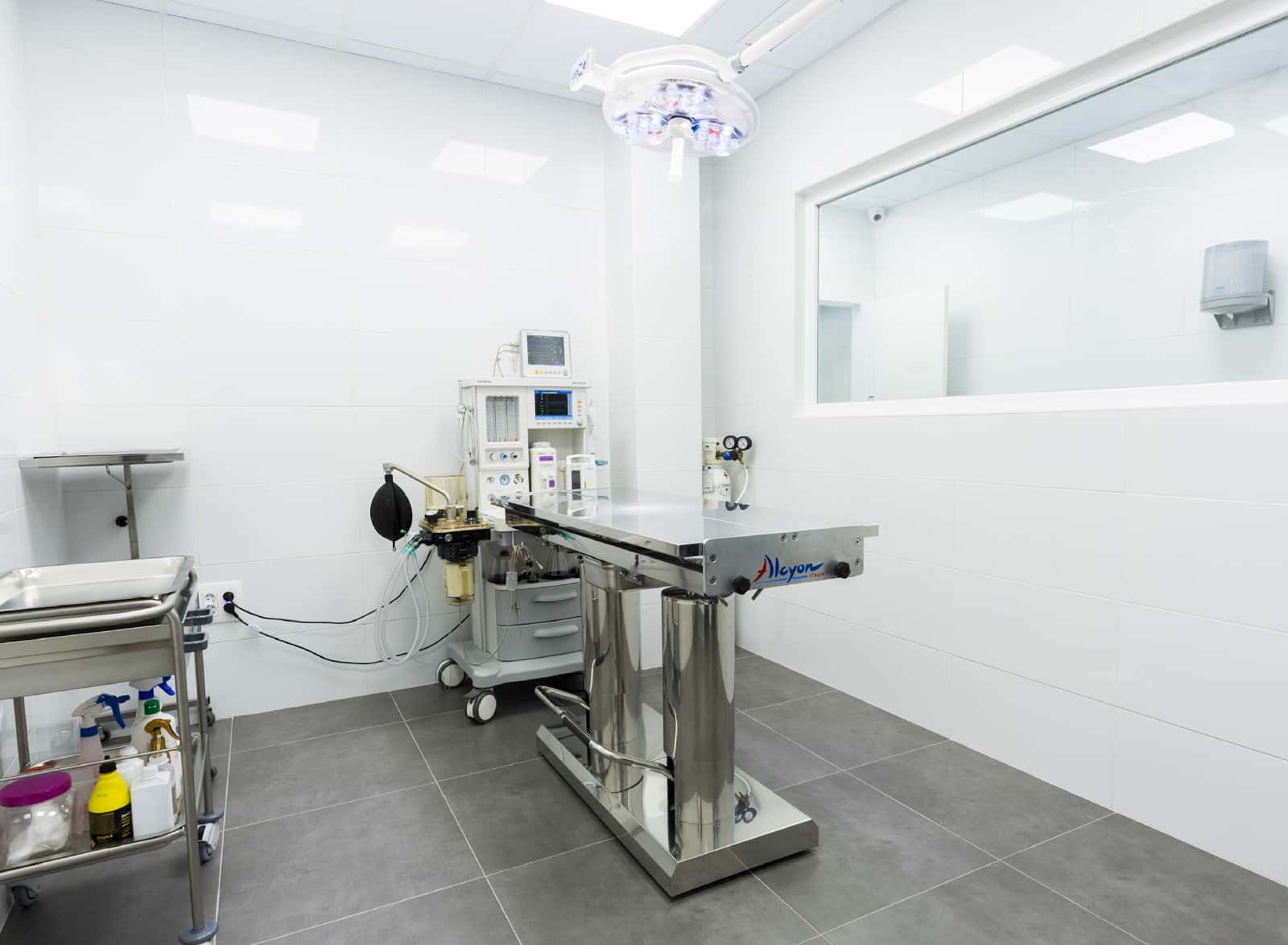 Hospital Veterinario La Fortuna | MiVet