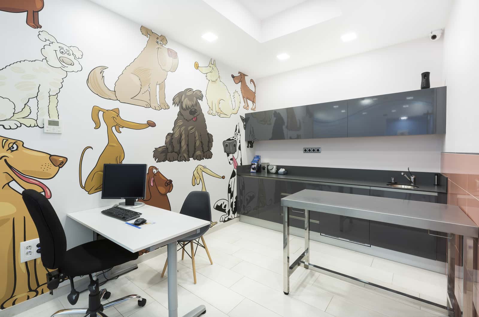 Hospital Veterinario La Fortuna | MiVet