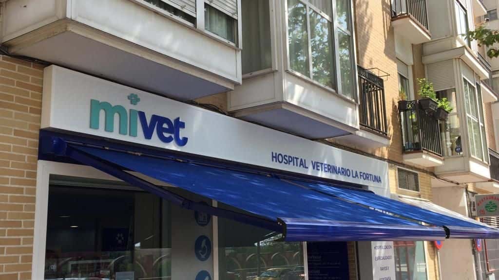 hospital veterinario la fortuna  mivet veterinario hospital en leganes en madrid principalImage ADOPTA Sitios Pet Friendly