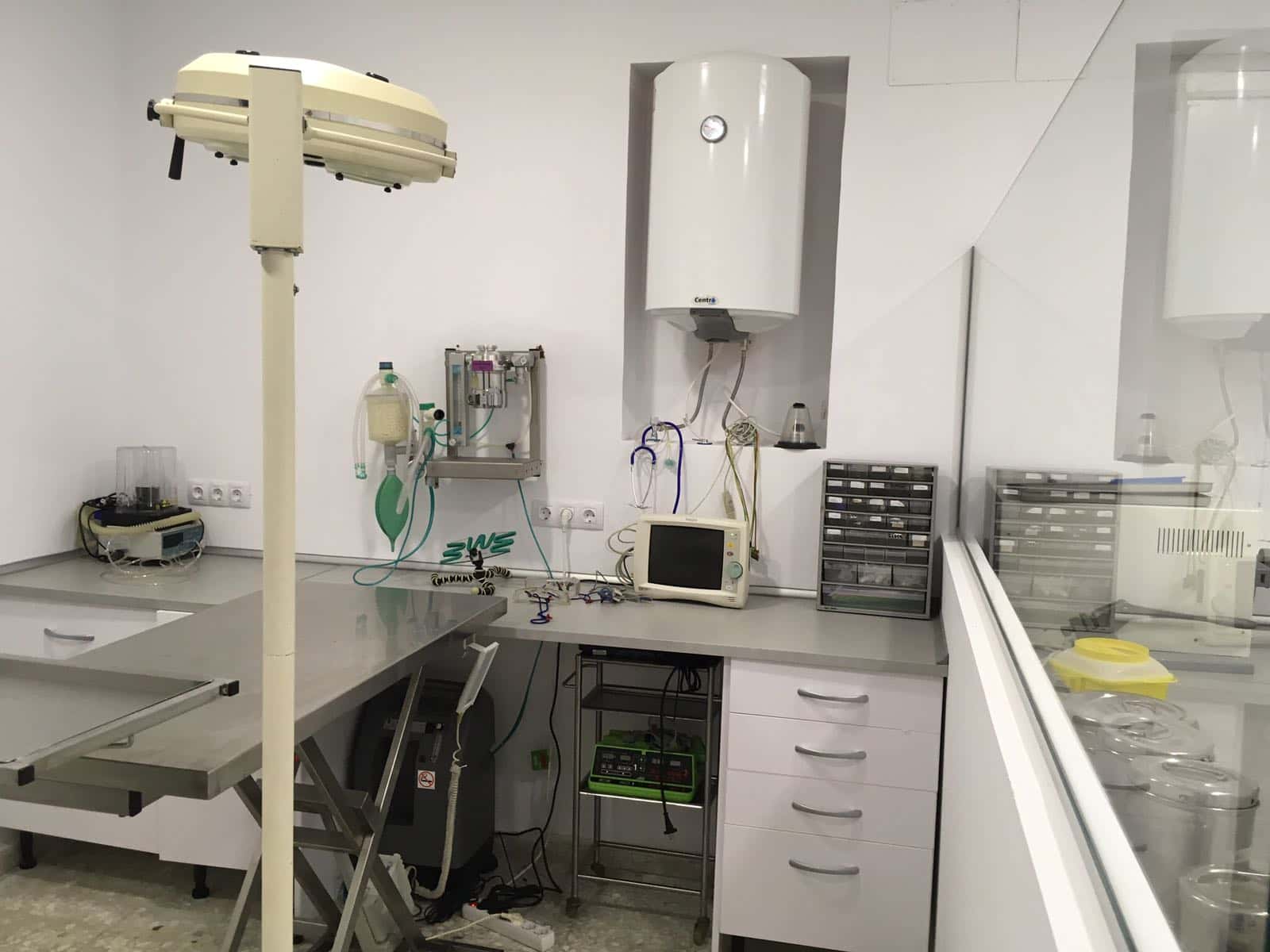 hospital felino madrid veterinario hospital cerca de madrid principalImage ADOPTA Sitios Pet Friendly