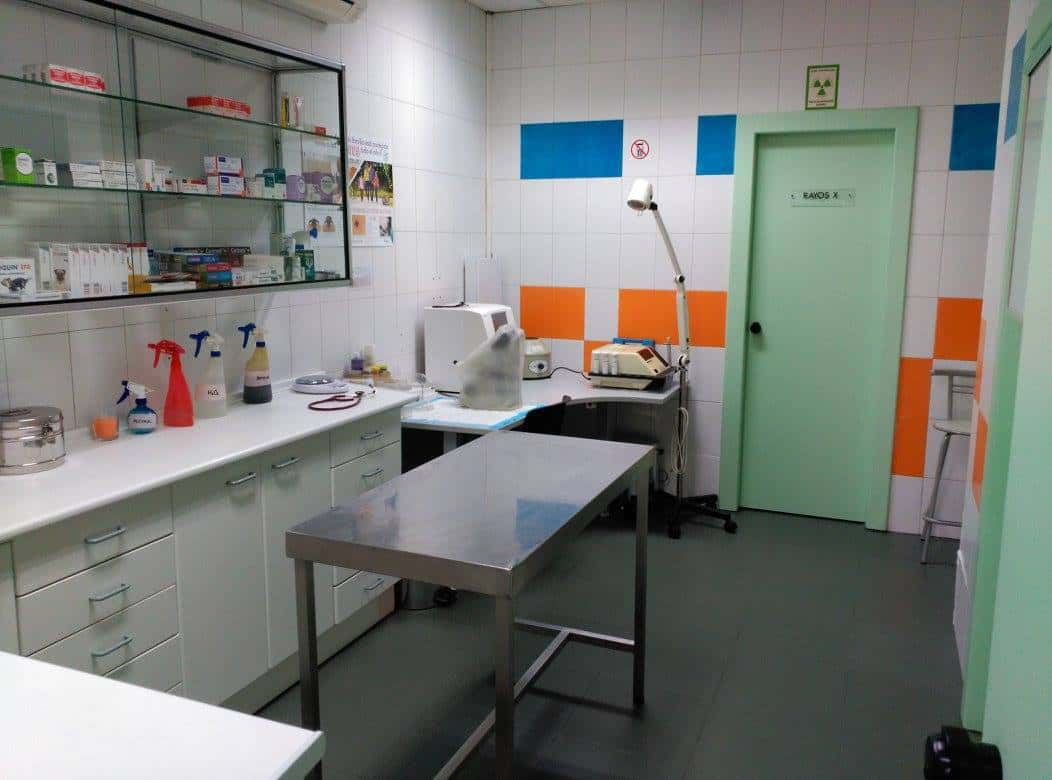 centro veterinario yubarta veterinario centro cerca de madrid principalImage ADOPTA Sitios Pet Friendly