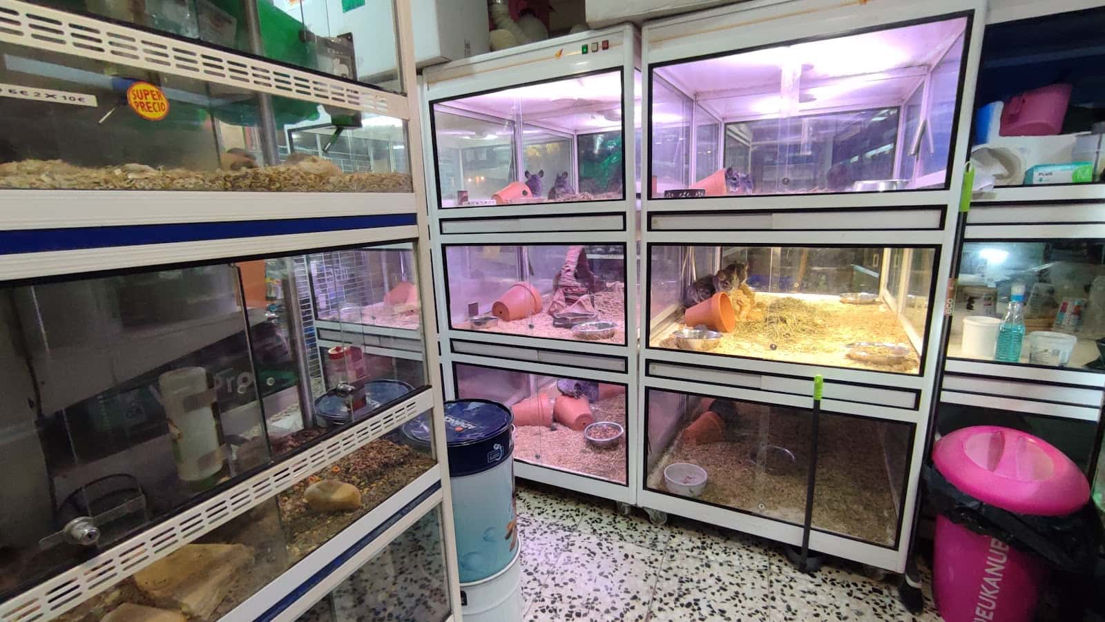 Veterinaria Animania Madrid Villaamil