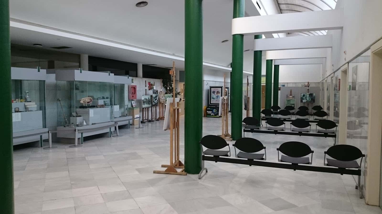 hospital clinico veterinario complutense veterinario hospital cerca de madrid principalImage ADOPTA Sitios Pet Friendly