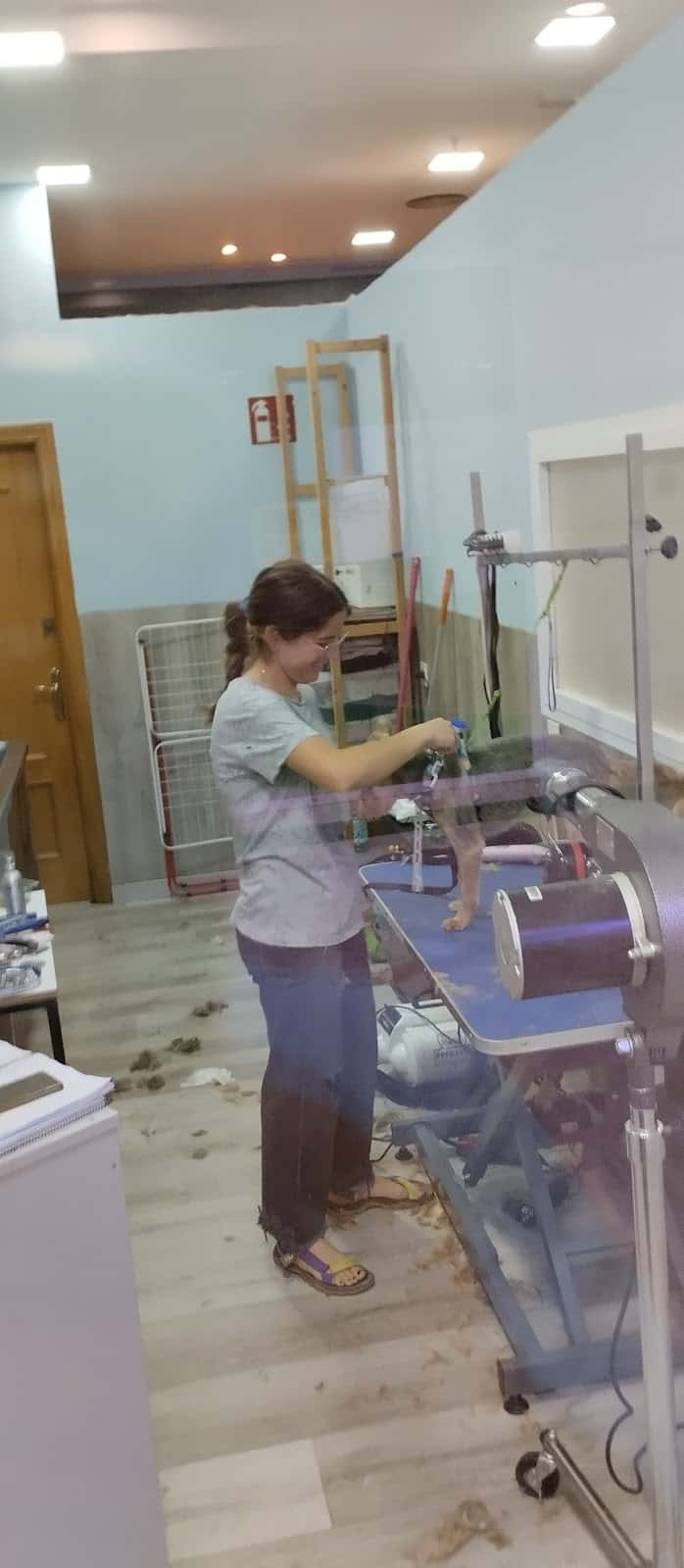 Centro Veterinario Alcalá Norte