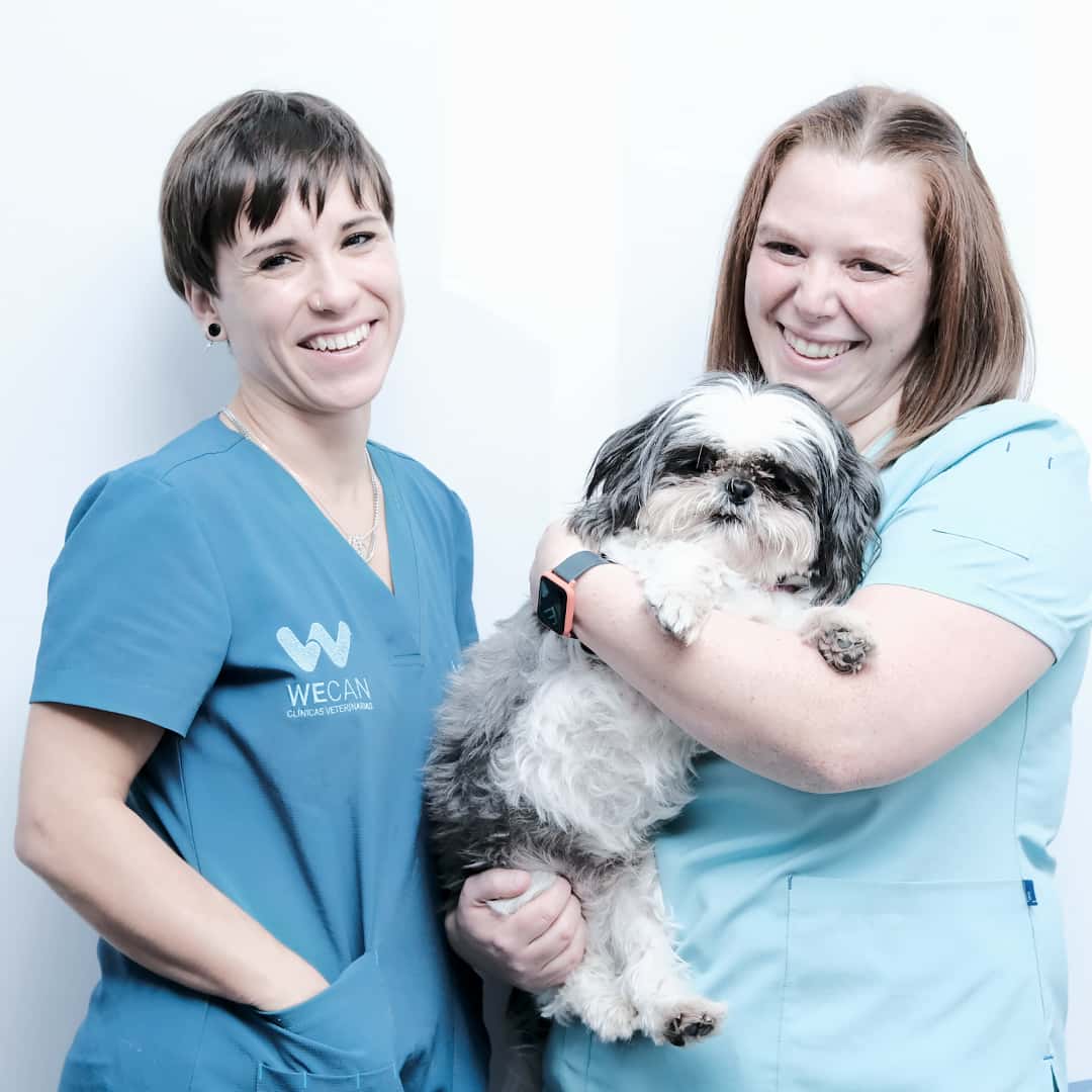 Clínica Veterinaria WECAN Momo
