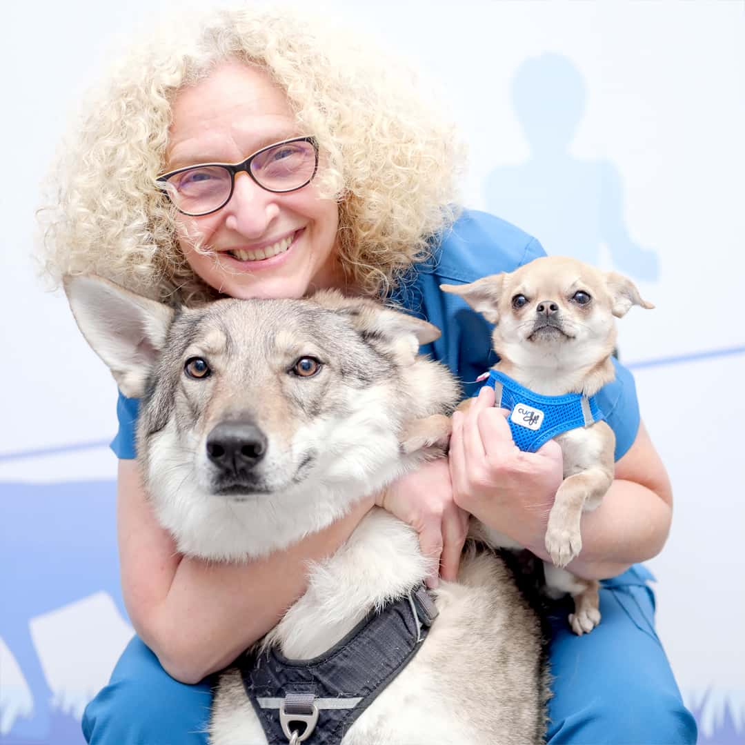 Clínica Veterinaria WECAN Momo