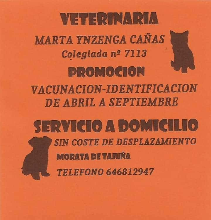 marta ynzenga canas veterinario centro en morata de tajuna en madrid principalImage ADOPTA Sitios Pet Friendly