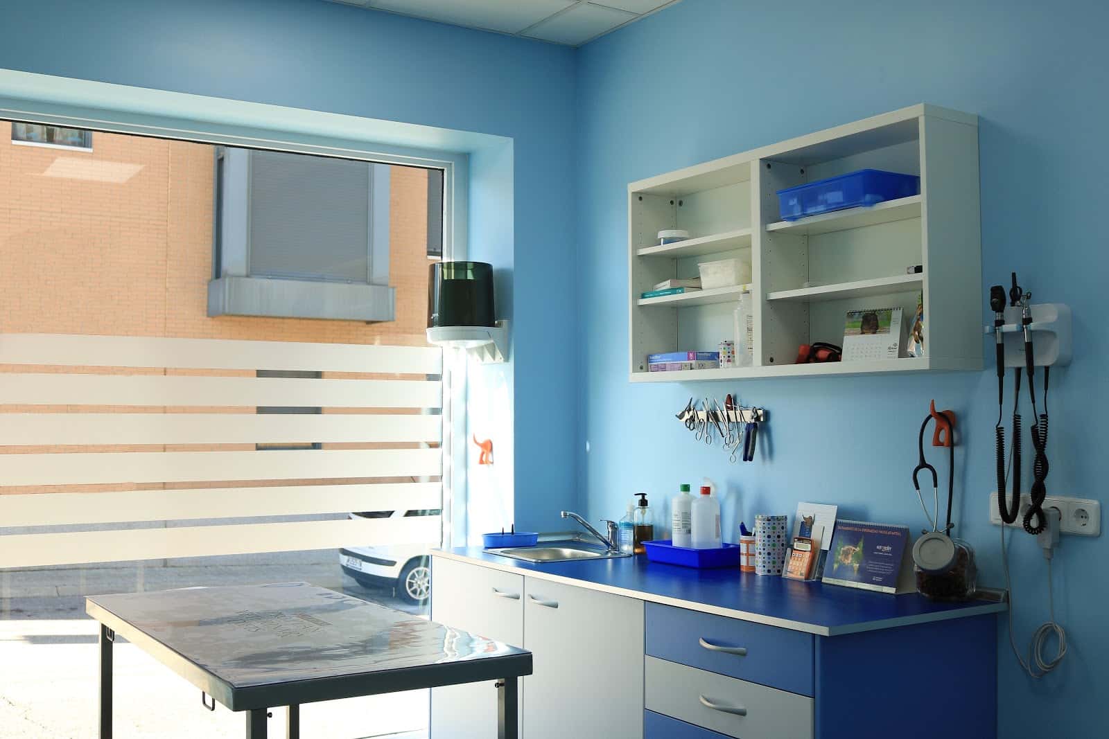 centro clinico veterinario soraya sebastian veterinario clinica en el molar en madrid principalImage ADOPTA Sitios Pet Friendly