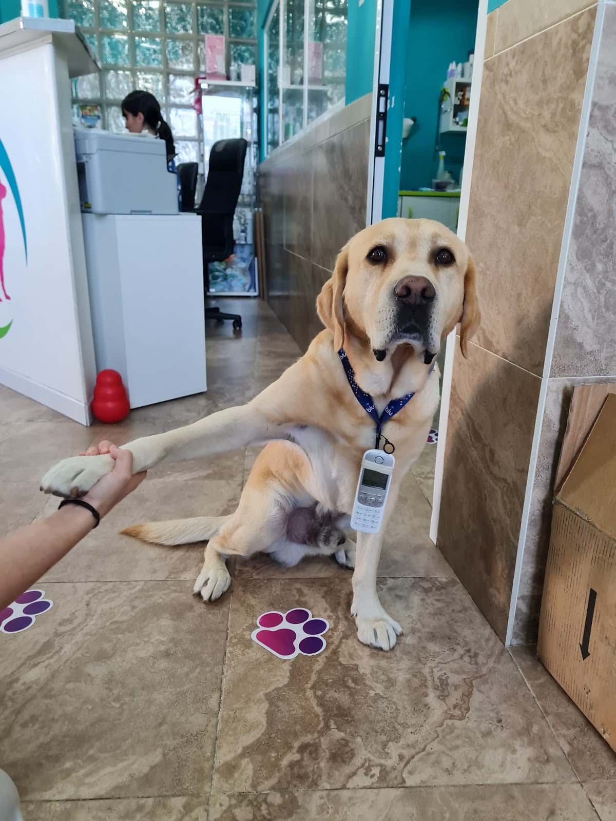 Clínica Veterinaria Sirio