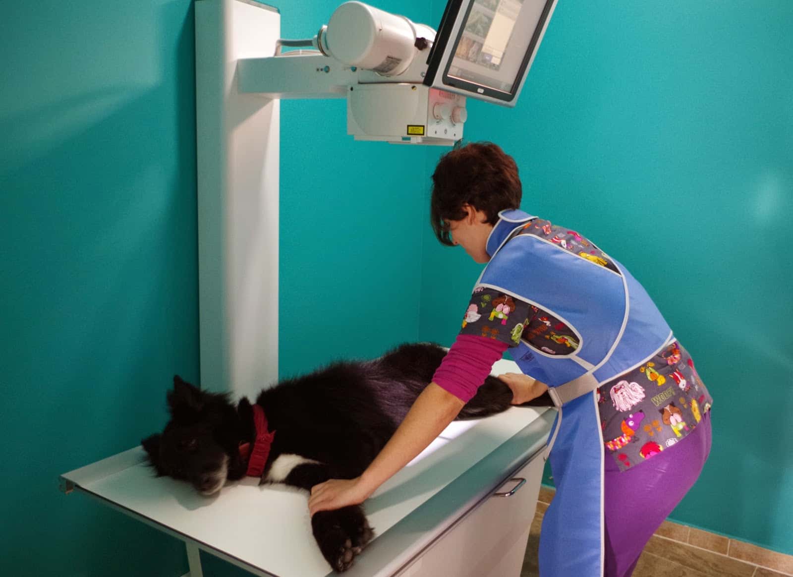 Clínica Veterinaria Sirio