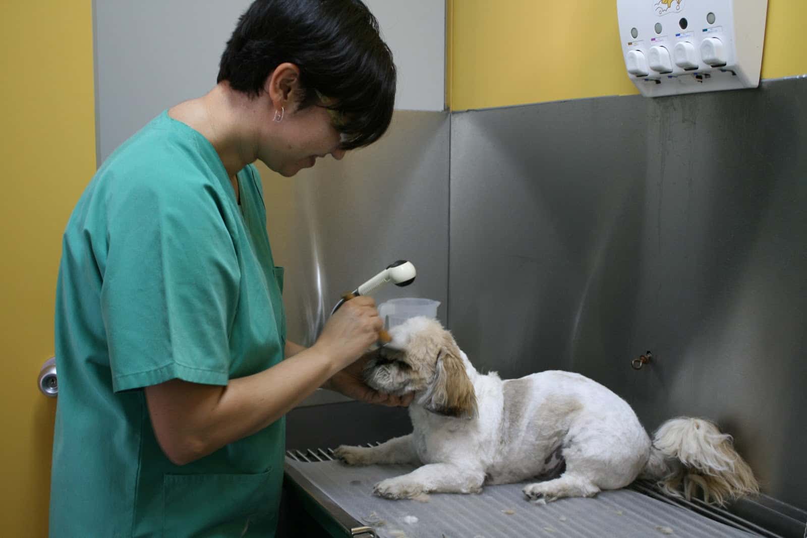 Clínica Veterinaria Morata