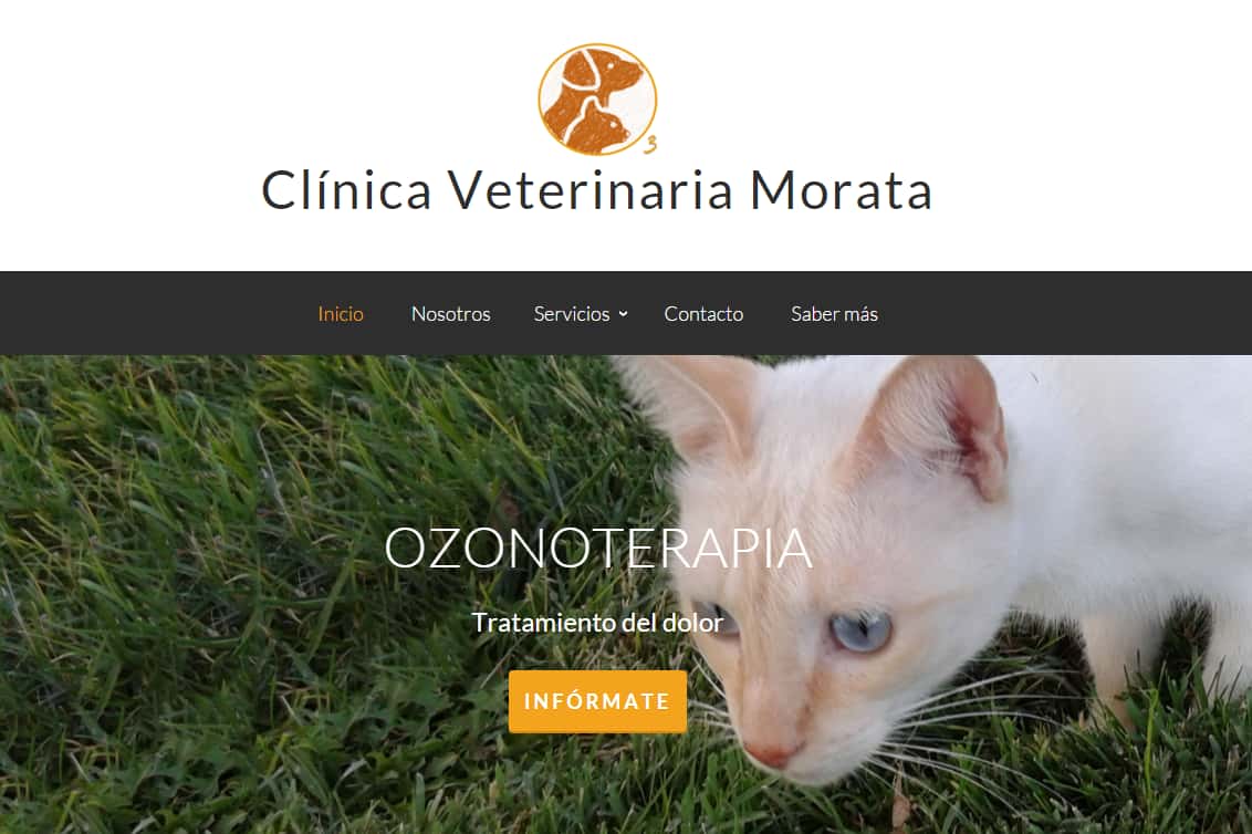 clinica veterinaria morata veterinario clinica en morata de tajuna en madrid principalImage ADOPTA Sitios Pet Friendly