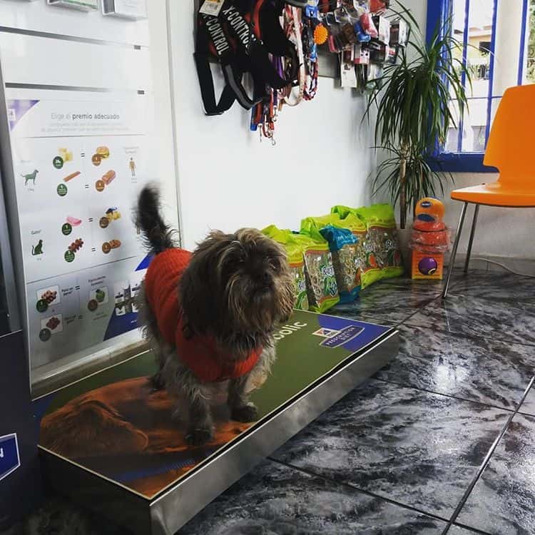 Clínica Veterinaria Doble Dog