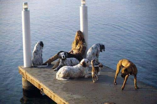 Centro Veterinario San Rafael