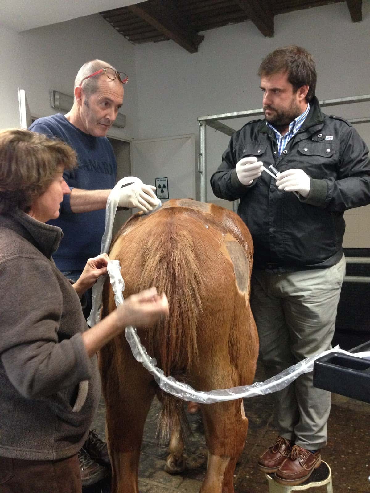 Hospital Veterinario Sierra de Madrid