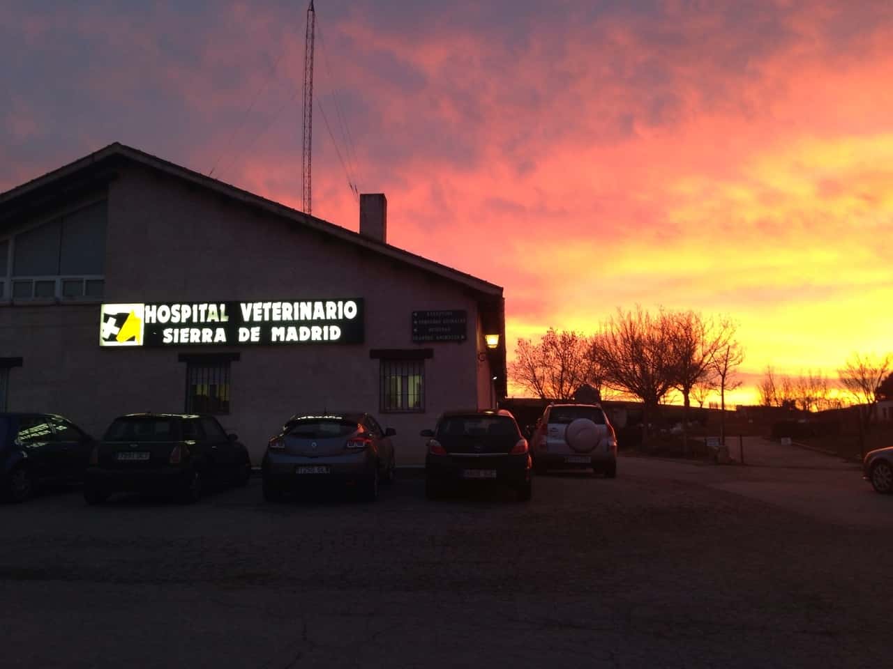 hospital veterinario sierra de madrid veterinario hospital en san agustin del guadalix en madrid principalImage ADOPTA Sitios Pet Friendly