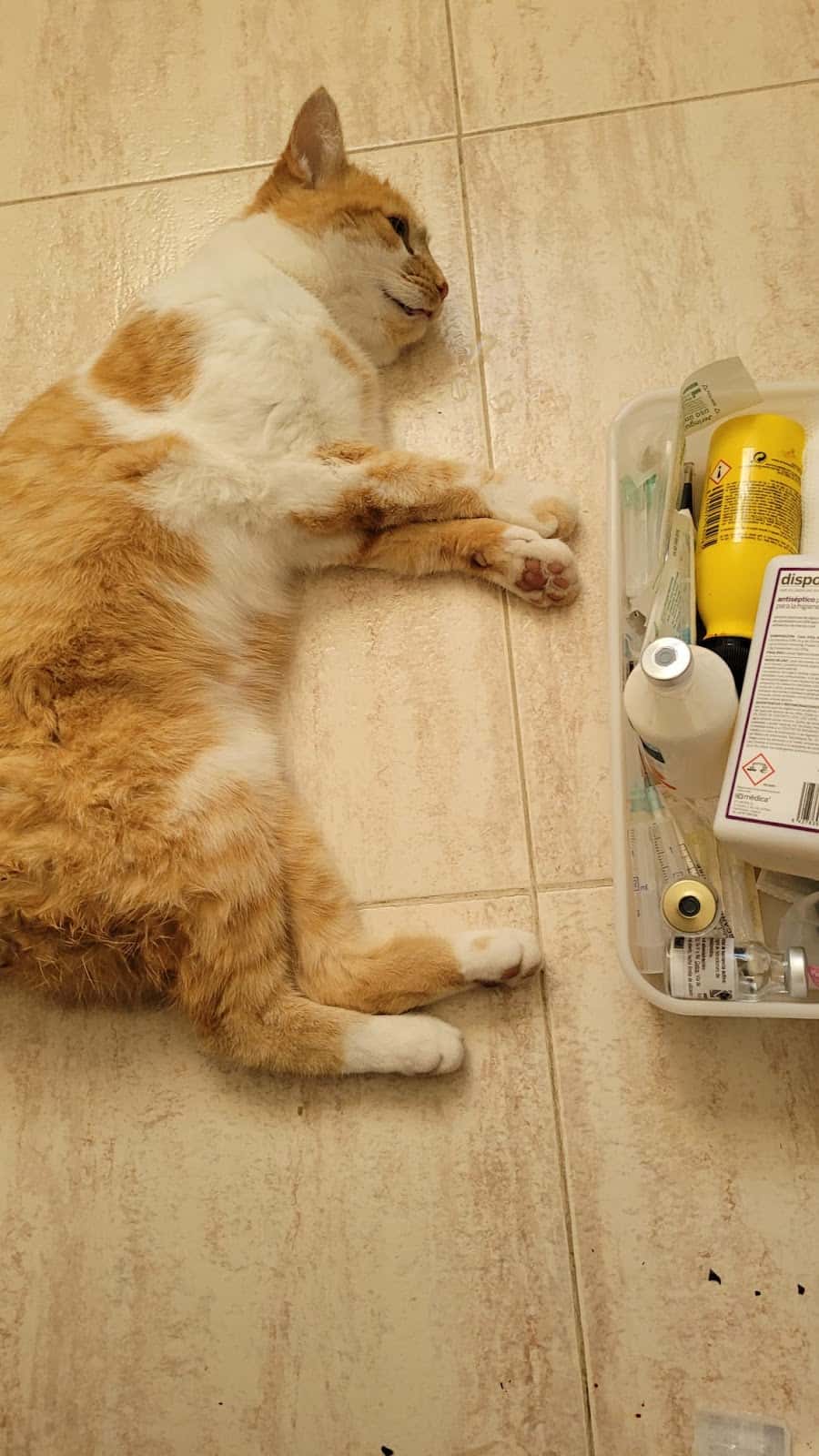 Sabatier Veterinarios - Veterinario a domicilio