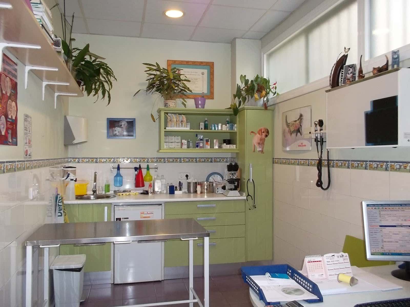 Clínica Veterinaria Valleaguado