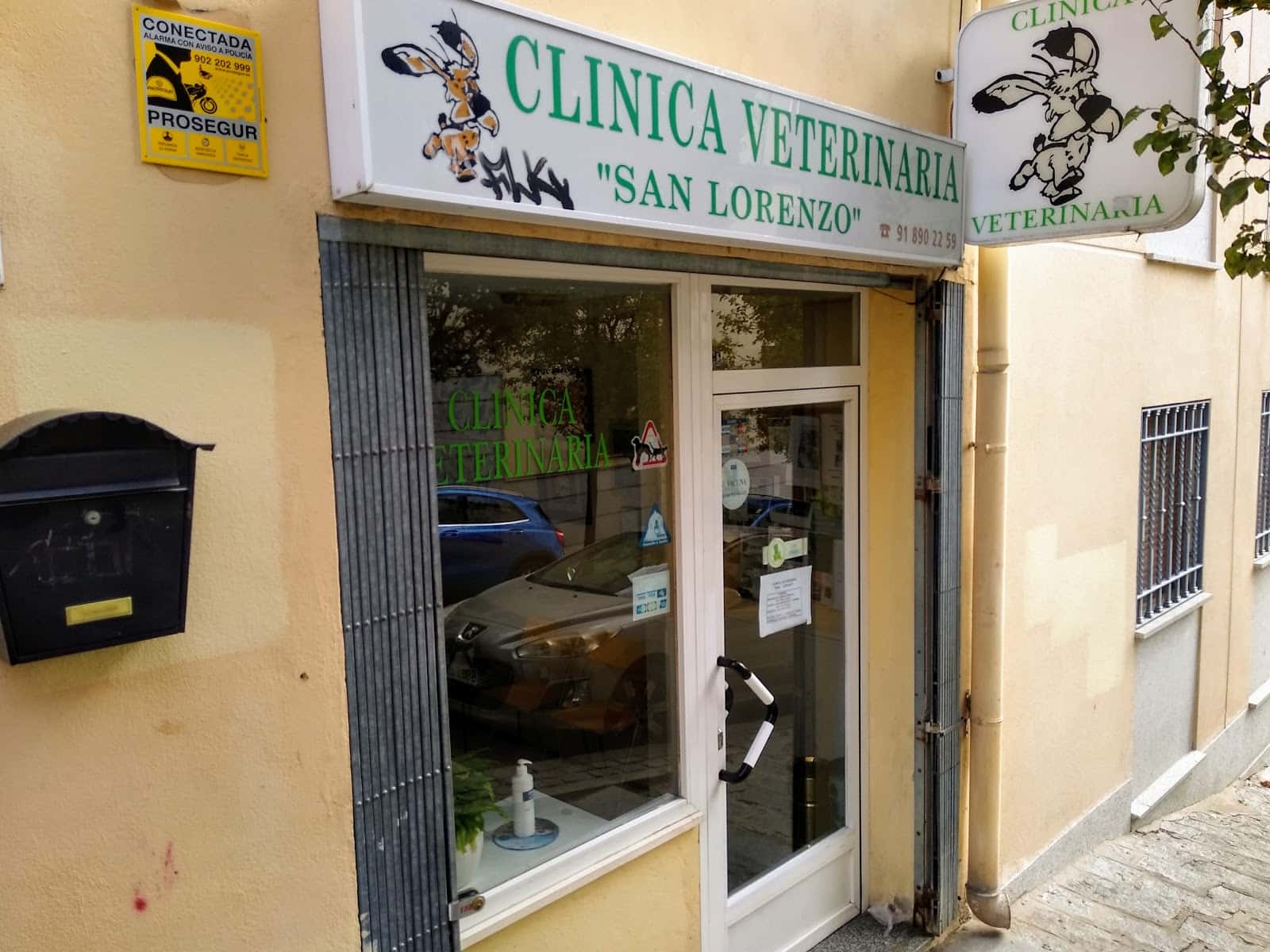clinica veterinaria san lorenzo veterinario clinica en san lorenzo de el escorial en madrid principalImage ADOPTA Sitios Pet Friendly