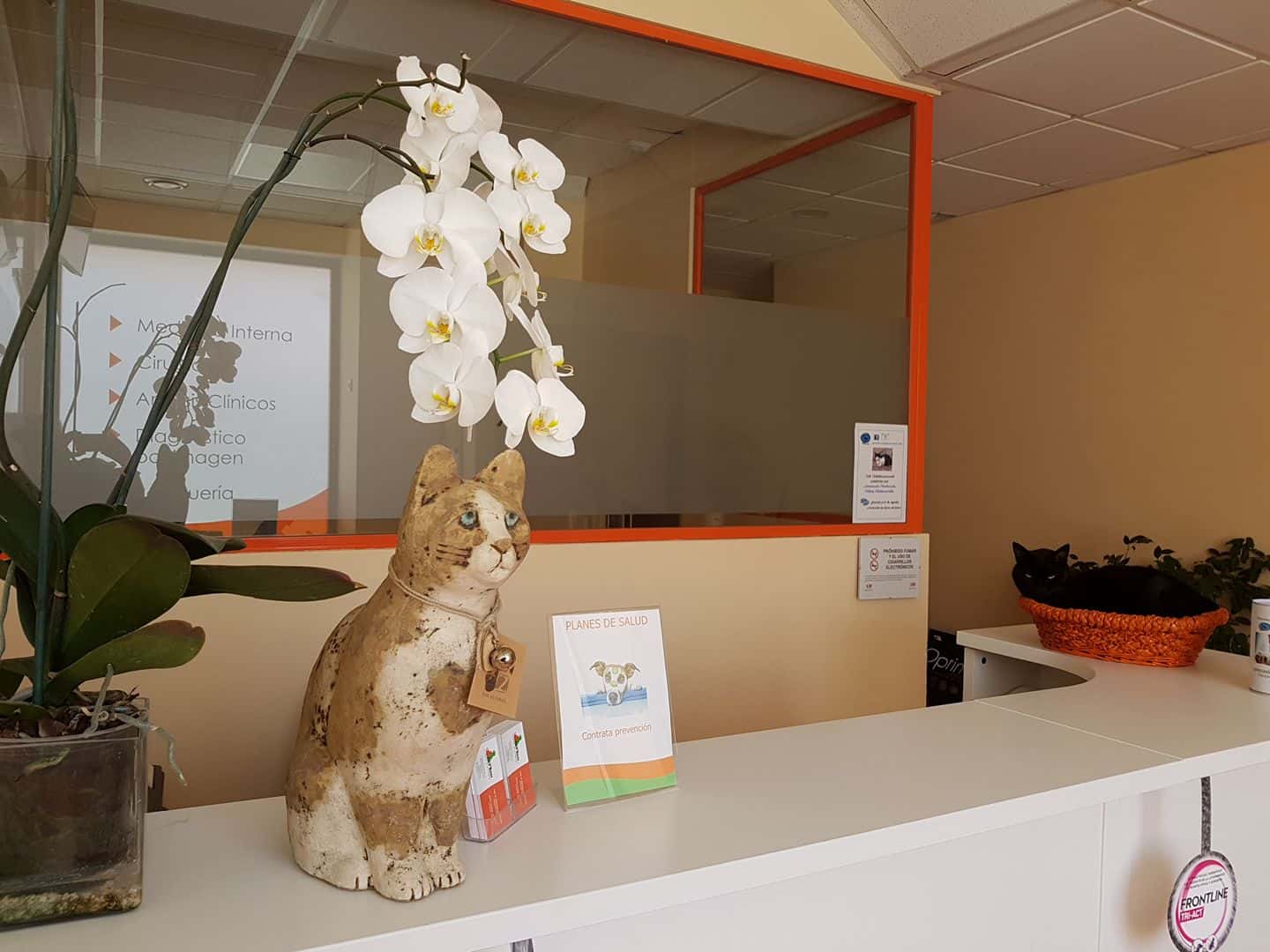 clinica veterinaria la plaza veterinario clinica en el escorial en madrid principalImage ADOPTA Sitios Pet Friendly