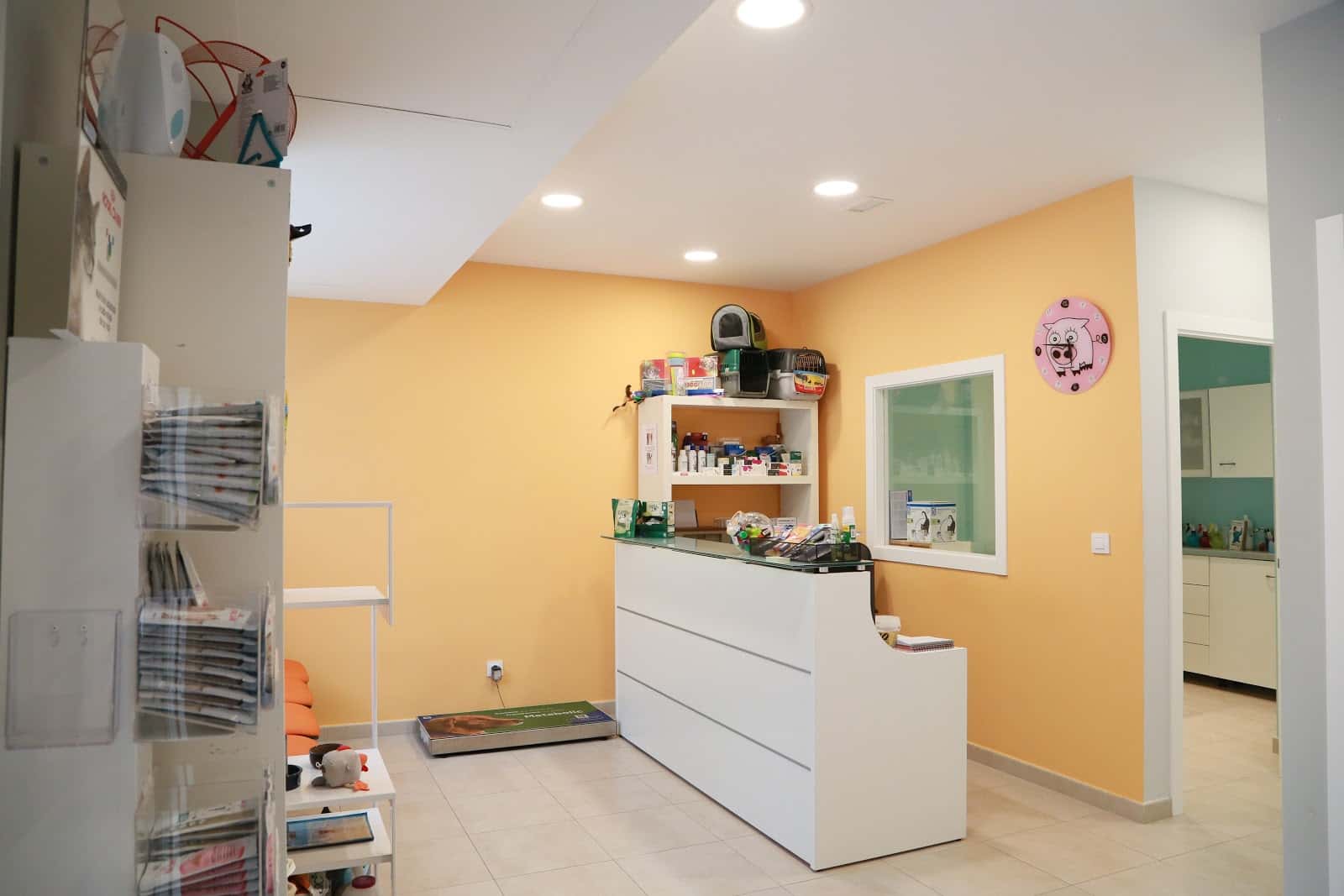 clinica veterinaria coslada veterinario clinica en coslada en madrid principalImage ADOPTA Sitios Pet Friendly