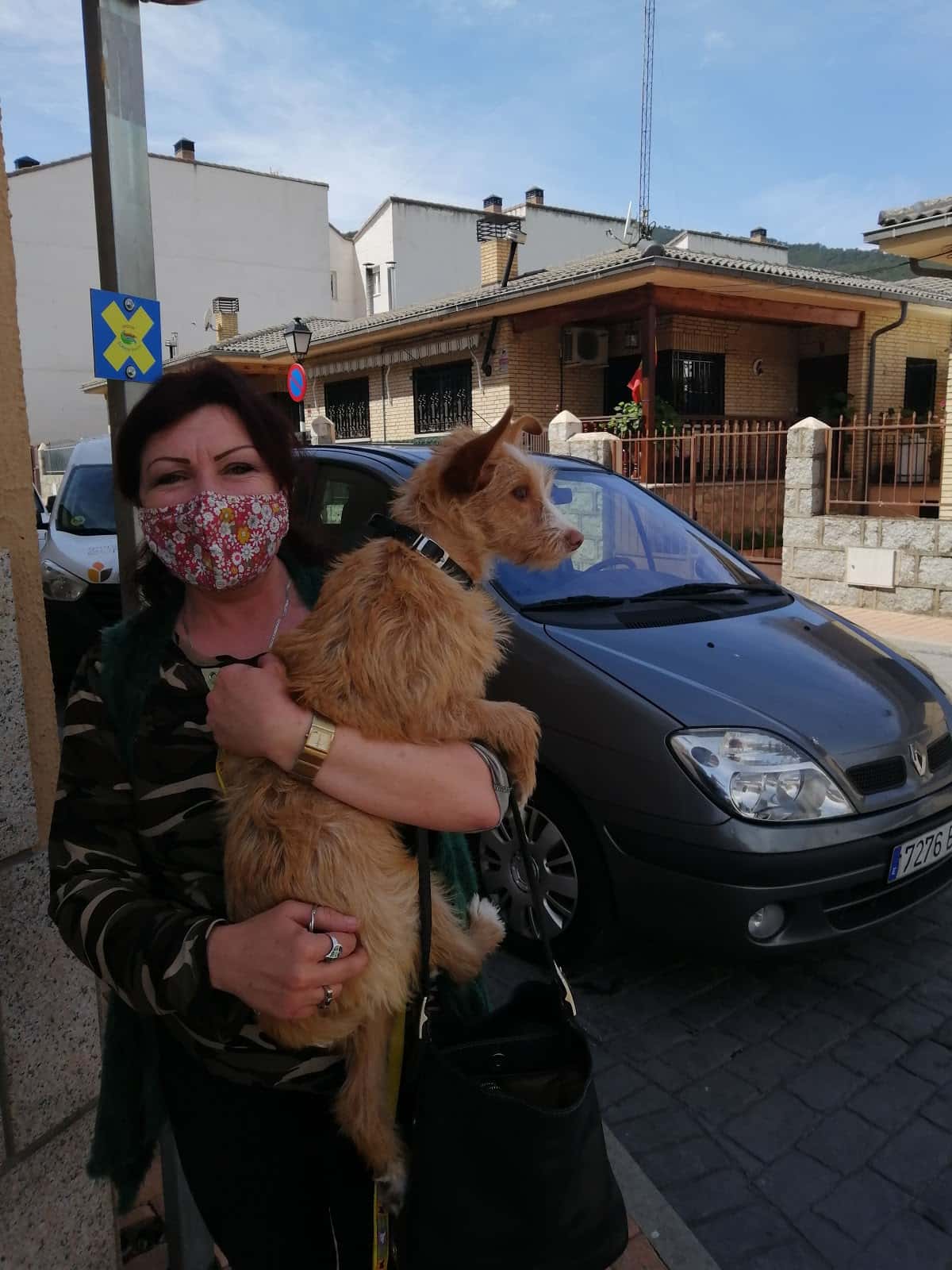 Centro veterinario I dog my cat